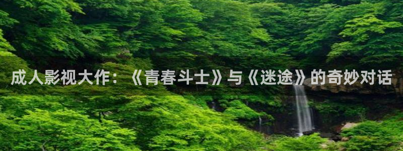 青丝影院免费观看高清完整版：成人影视大作：《青春斗士》与《迷途》的奇妙对话