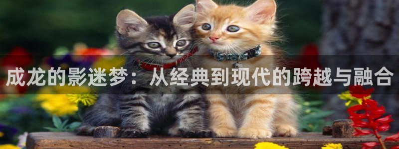 青丝影视最新电视剧在线播放：成龙的影迷梦：从经典到现代的跨越与融合