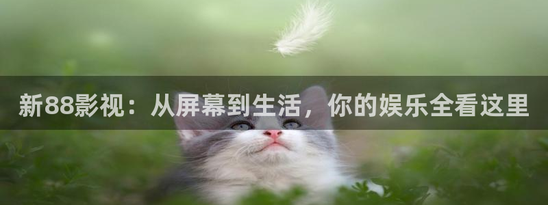 青丝影院电视剧在线播放电视剧：新88影视：从屏幕到生活，你的娱乐全看这里