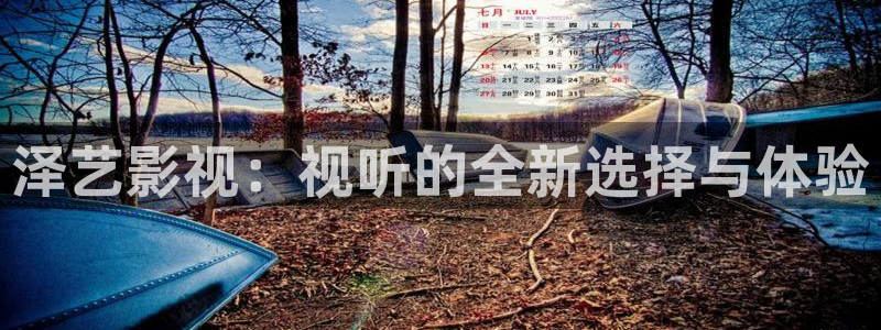 青丝影院在线观看电视剧官网：泽艺影视：视听的全新选择与体验